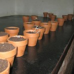 FiVo "Taufe"